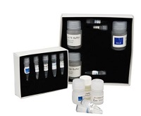 RNAGEM RNA Extraction kit