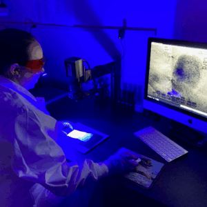UV-C Imaging and Fingerprint Comparison