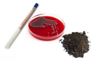 prepGEM-Bacteria DNA Extraction Kit