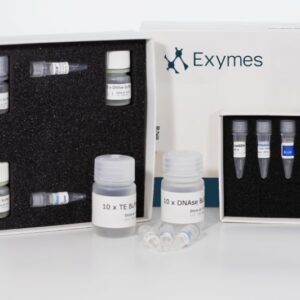 RNAGEM RNA Extraction Kit