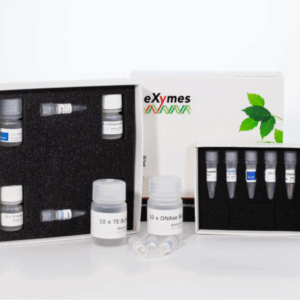 RNAGEM DNA Extraction Kit