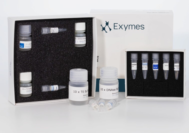 RNAGEM RNA Extraction Kit