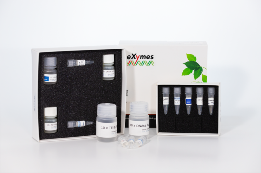 RNAGEM DNA Extraction Kit
