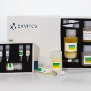 prepGEM-Bacteria DNA Extraction Kit