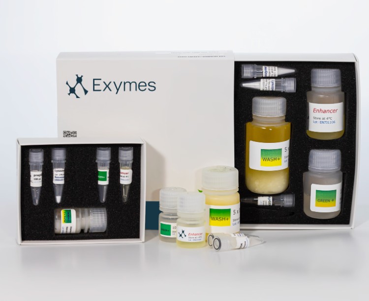 prepGEM-Bacteria DNA Extraction Kit