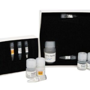 ForensicGEM Sperm DNA Extraction Kit