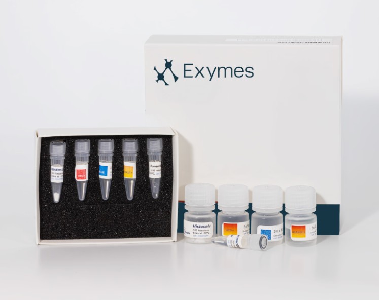 ForensicGEM Universal DNA Extraction Kit