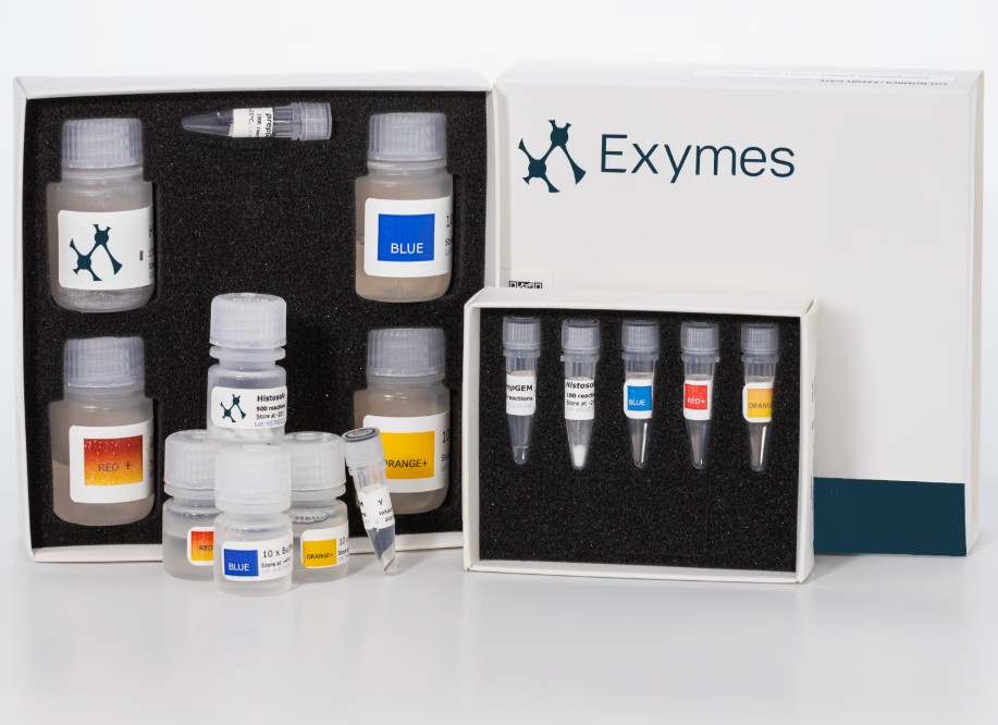 prepGEM-Universal DNA Extraction Kit